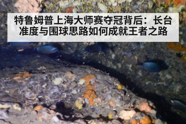 特鲁姆普上海大师赛夺冠背后：长台准度与围球思路如何成就王者之路